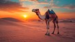 © Purnomo adi - Camel silhouetted against a vibrant sunset in the desert.