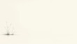 © Irina - Minimalistic nature scene with delicate grass on a soft white background and ample copy space