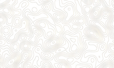 Topographic map. Geographic mountain relief. Abstract lines background. Contour maps. Vector illustration. Vector tree rings seamless background, subtle pattern. topographic map background concept	