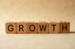© SabsePahale - Growth: A powerful visual concept represented by wooden blocks spelling out the word 'GROWTH'.  The  simple yet impactful design evokes a sense of progress, development, and expansion.