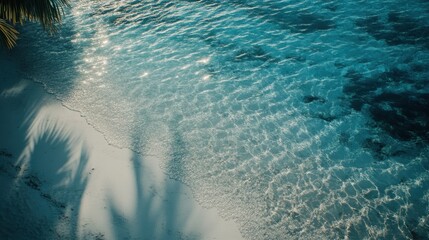Wall Mural - Gentle Waves Lapping on White Sand Beach Under the Sun, Shadows from Palm Trees Creating a Calm and Relaxing Atmosphere for Beach Lovers