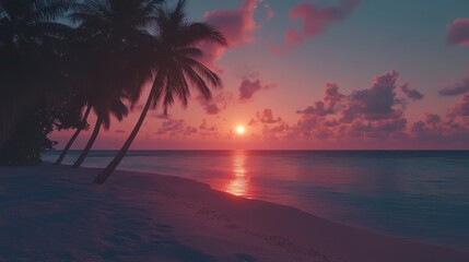 Wall Mural - A serene sunset at a tropical beach with palm trees in silhouette. The vibrant colors reflect on the calm waves, creating a peaceful and relaxing atmosphere.