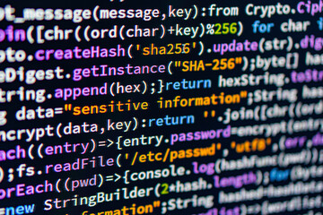 sensitive information. close-up image of javascript code, including variables, conditionals, and fun
