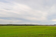 © Dmytro - electrical poles in the field