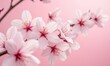 © Alex - Delicate pink cherry blossoms in bloom