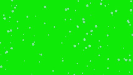 Wall Mural - Video of snowflakes isolated on a green artificial background for chroma key.