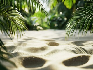 Wall Mural - Sandy beach with palm trees and a sandy path