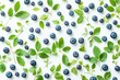© Ruslan - Isolated blueberry leaves on a white backdrop