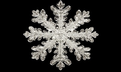 Intricate single snowflake on black background.