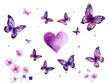 © Pimchada - Watercolor painting of purple butterfly heart on white background with love written in center, white background, symbolic, purple