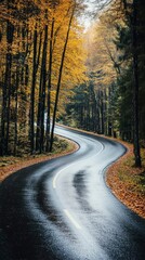 Wall Mural - Winding Road Through Autumnal Forest Scenery