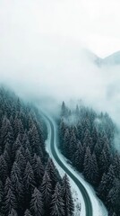 Wall Mural - Winding Road Through Snowy Mountain Forest