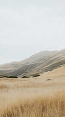 Wall Mural - Golden Grasslands Rolling Hills Landscape Scene