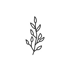 leaf branch outline