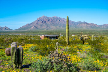 Wall Mural - An overlooking view of Picacho Peak SP, Arizona