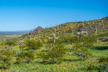 Wall Mural - An overlooking view of Picacho Peak SP, Arizona