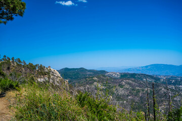 Wall Mural - An overlooking view of Tucson, Arizona