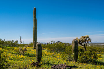 Wall Mural - An overlooking view of Picacho Peak SP, Arizona