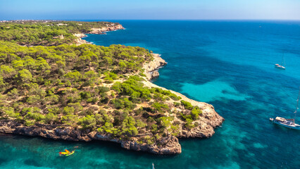 Wall Mural - Aerial view of lush green coastline meeting turquoise mediterranean sea in mallorca