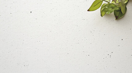 Poster - Smooth White Paper Texture: Seamless Top-Down View, High Resolution. Perfect for Minimalist Designs and Backgrounds.