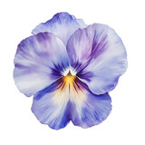 Graceful pansy bloom in watercolor garden clipart transparent soft gradients seasonal beauty floral art