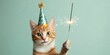 © Roey - Cute cat in birthday hat holding sparkler on pastel green background with banner and copy space