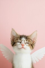 Sticker - A cat wearing glasses and standing on a pink background. The cat is wearing glasses and has a peaceful expression on its face