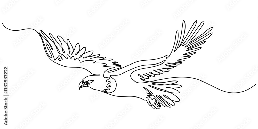 An eagle soars in the sky with its wings spread wide. A large bird of ...