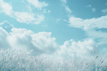 Wall Mural - soft smooth white clouds with pastel color of sky.for abstract background