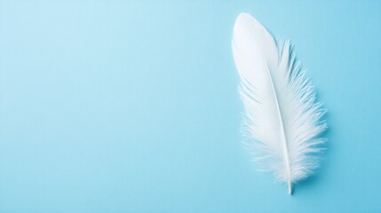 Poster - A delicate white feather rests on a soft blue background, symbolizing lightness and purity.