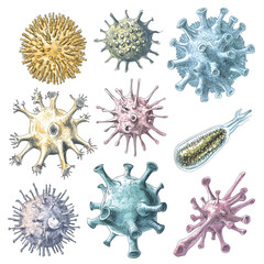 Poster - Medical graphic depicting viral and bacterial microorganisms with diverse geometric forms, rendered in vibrant colors against transparent backdrop