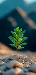 Wall Mural - A small green plant is growing in the dirt. The plant is surrounded by rocks and mountains in the background. Concept of resilience and hope, as the plant is able to grow