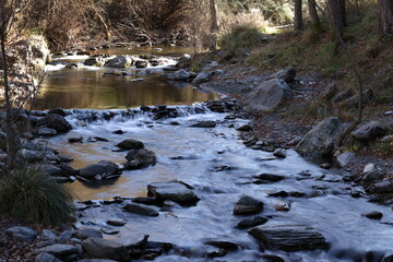 Wall Mural - river in winter