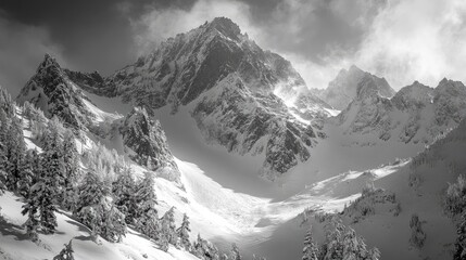 Poster - swiss mountains mountain