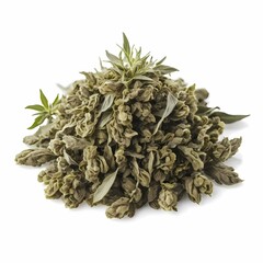 Wall Mural - Jiaogulan herb isolated on white background