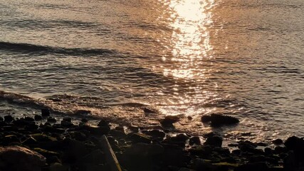 Wall Mural - ocean sunset on the golden waves