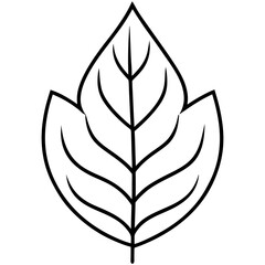 Delicate Leaf Outline Design