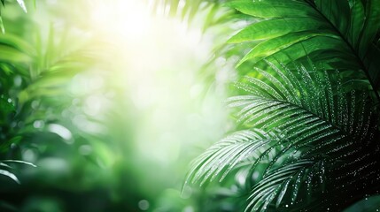 Poster - Mystical lush idea. Lush green leaves with sunlight shining through, creating a serene natural atmosphere.