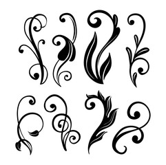 flourishes vectors ornament on black colour