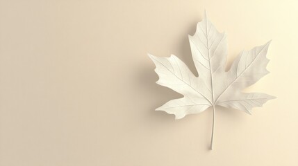 Aufkleber - Single white maple leaf on beige background.