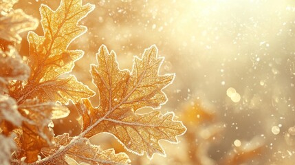 Aufkleber - Frost-covered oak leaves in soft sunlight, winter bokeh background.