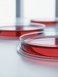 © Espresso - Close-up of petri dishes filled with vibrant red culture medium, highlighting scientific research in microbiology.