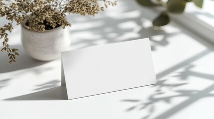 Wall Mural - Blank card rests elegantly on surface, surrounded by soft shadow