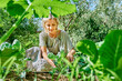 © Westend61 - Smiling mature farmer taking care of spinach at farm on sunny day