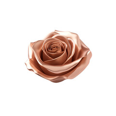 Wall Mural - elegant rose flower with soft petals, isolated on white background. transparent background.
