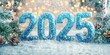 © MK - Snowy Number  2025 Close Up