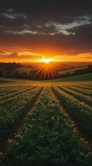 Wall Mural - Breathtaking sunset over rolling hills and green fields in a serene countryside landscape