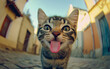 © Vilius - Playful Close-Up of a Cat with Its Tongue Sticking Out, Captured from a Dynamic Selfie Angle, Highlighting Humor, Creativity, and Pet Charm