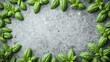 © GMeta - Abstract pattern of fresh basil leaves on gray concrete with water droplets
