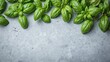 © GMeta - Abstract pattern of fresh basil leaves on gray concrete with water droplets
